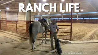 Come Ride With Me and Bluey #cowdog #horse #ranch