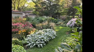 Hot & Humid August Garden Tour