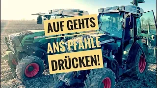 Obsthof Raddatz - Pfähle drücken und pflanzen auf der neuen Fläche! #2