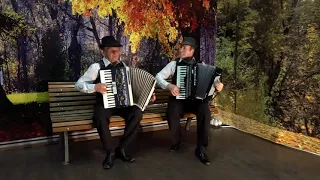 Akordeono muzika (Gintautas Česnulis ir Kazimieras Astrauskas)