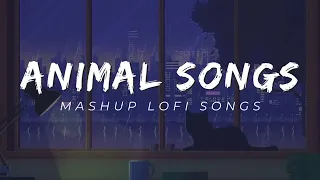 Animal Mashup (Lofi and Slowed Reverb) | Top 5 Songs Animal Mashup | DJ LOFI