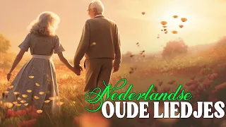 Gezellige Hollandse Hits 🎻 Beste Liedjes Van Nederland 🎻 Muziek Voor Ouderen