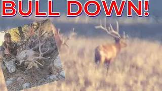 2023 New Mexico Once In a Lifetime Elk Hunt