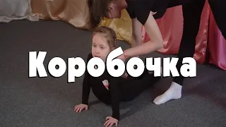 Коробочка