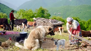 IRAN Nomadic Daily Life and Making Organic Cheese from Fresh Cow Milk