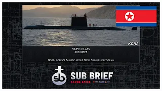 Sinpo SSK Sub Brief