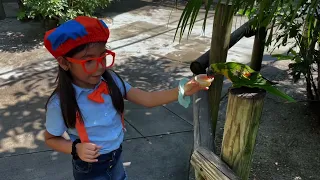 Lucia's video for Blippi in My Hometown contest