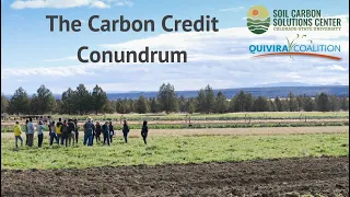 #2 - Unpacking the Carbon Credit Conundrum - Carbon market case studies (grazing and cropping)
