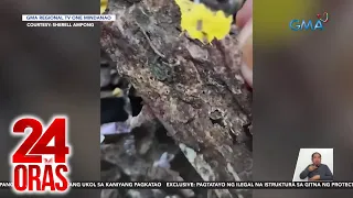 P35,000 na ipon ng isang babae sa Davao Oriental, inanay | 24 Oras