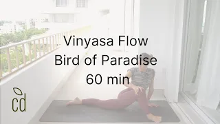 Vinyasa Flow - Bird of Paradise 60 min