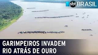 Garimpeiros invadem Rio Madeira após informação de que há ouro no local | SBT Brasil (24/11/21)