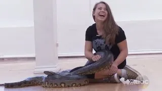 Bindi Irwin Surprises New 'DWTS' Partner With a Giant Python!