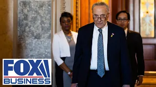 ‘HAS IT ALL WRONG’: Sen. Schumer's comment on Israel war stuns Lt. Gen. Kellogg