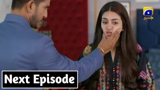 Sultan Ny kia Shadi Ka Fasila | Shiddat Episode 30 | Review