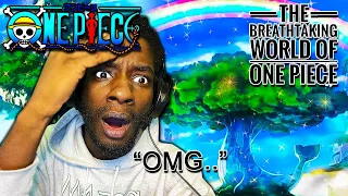 IS THIS IS WHY PEOPLE WATCH ONE PIECE?!? OMG! | The Breathtaking World Of One Piece REACTION!! |