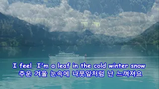 A Little Peace - Nicole Flieg: with Lyrics(가사번역) || Lake Brienz (스위스 브리엔츠 호수), Switzerland , 2008