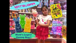 IT'SUGAR | Giant Candy Store Orlando,Florida Tour 2020