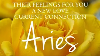 ARIES love tarot ♈️ Someone Who Wants This Connection To Blossom Aries 🌼 This Message Is important