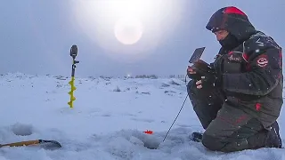 ОГРОМНЫЕ СТАИ и ТОННЫ РЫБ - НАШЛИ подо ЛЬДОМ!!!