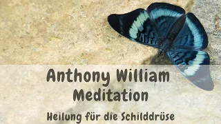 Meditation für die Schilddrüse | Anthony William | Medical Medium®️ [Heilung für die Schilddrüse]