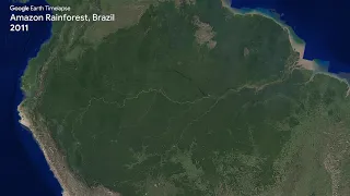 Amazon Rainforest, Brazil Time-lapse 1984-2020 (4K)