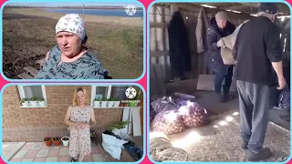 Переезд в Сибирь на родину/разругались из-за штор/что с рассадой/уже садим