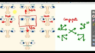 OPHTHALMOLOGY LECTURES Types of ocular movements