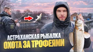 Шок! Астраханские Трофеи. Рыбалка в Астрахани 2024