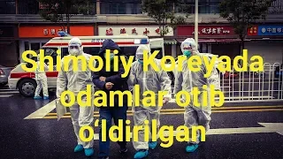 Shimoliy Koreyada koronavirusga chalingan odam otib o‘ldirilgan bo‘lishi mumkin