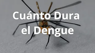 Cuánto Dura el Dengue: Tiempo de Enfermedad y Recuperación