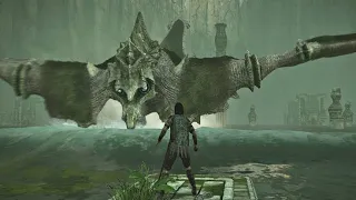 the decade- long quest Shadow of the colossus part6 walktrough
