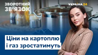 Компенсації депутатам і ціни на картоплю та газ // ЗВОРОТНИЙ ЗВ'ЯЗОК від 10 січня