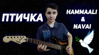 HammaAli & Navai - Птичка /Кавер на гитаре / раз два три кавычки