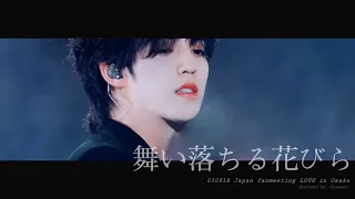[4K] 230518 일본 팬미팅 LOVE -  세븐틴 에스쿱스 SCOUPS 舞い落ちる花びら (Fallin' Flower) 직캠