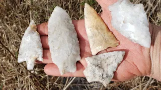 Arrowhead hunting: Found cache of 2 digging Florida for amazing artifacts Newnan spearpoint