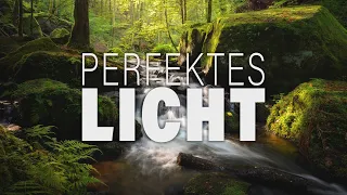 Perfektes Licht in der Karlstalschlucht | Landschaftsfotografie