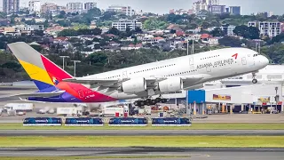 30 BIG PLANE TAKEOFFS and LANDINGS from UP CLOSE at SYD | Sydney Airport Plane Spotting Australia