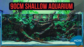 90cm SHALLOW-style Aquarium, FULL BUILD