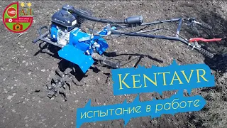 Испытание нового мотоблока "Кентавр" 7 л.с
