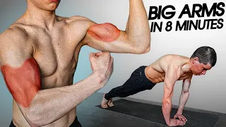 Build Big ARMS in 8 Minutes (No Equipment)