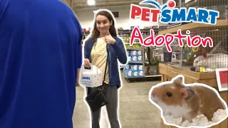 GETTING MY NEW HAMSTER! PETSMART ADOPTION!