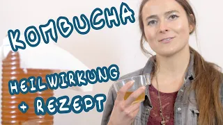 Kombucha Heilwirkungen & Rezept zur Herstellung