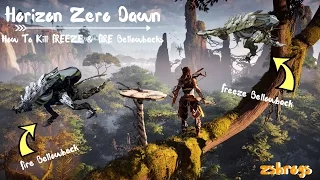 Horizon Zero Dawn :: How To Kill FREEZE & FIRE Bellowbacks :: (Intermediate Guide)