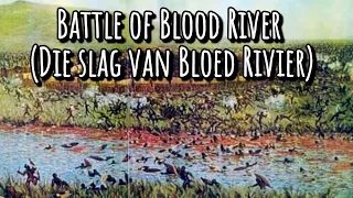 The Battle of Blood River [4K]