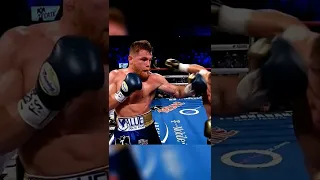 canelo alvarez satisfying super slow motion #boxing #ufc #mma