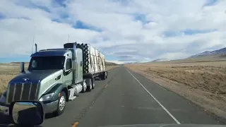 BigRigTravels LIVE | Jordan Valley, OR to Lovelock, NA [US 95, I-80] (3/11/21)