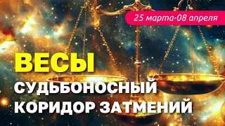 Весы: гороскоп на коридор Затмений март-апрель 2024. #весы #весыгороскоп #весыпрогноз