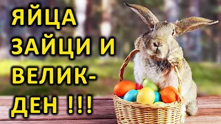 Яйца, зайци и ВЕЛИКДЕН ! - п-р Татеос - 27.4.2021