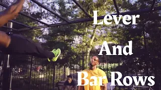 Bar Rows /Lever workout