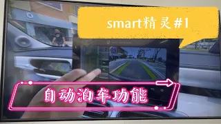 smart精灵1高配  自动泊车功能介绍